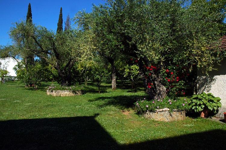 Omirico Studios Corfu  Eksteriør bilde